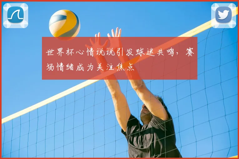 世界杯心情说说引发球迷共鸣，赛场情绪成为关注焦点