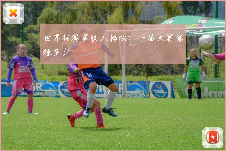 世界杯赛事收入揭秘：一届大赛能赚多少