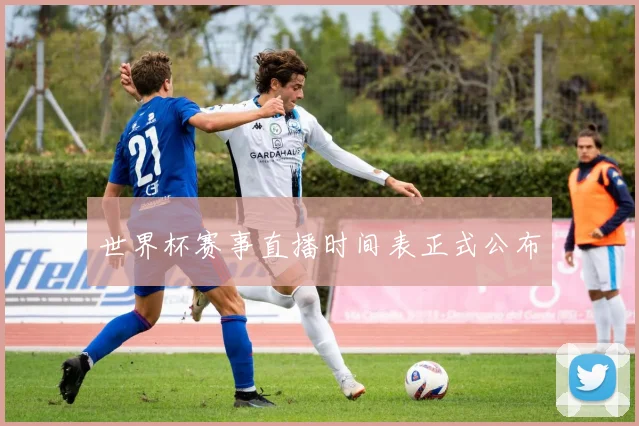 世界杯赛事直播时间表正式公布
