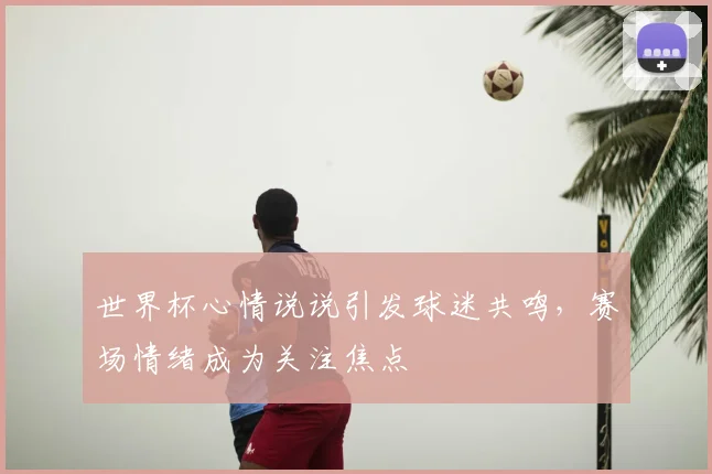 世界杯心情说说引发球迷共鸣,赛场情绪成为关注焦点