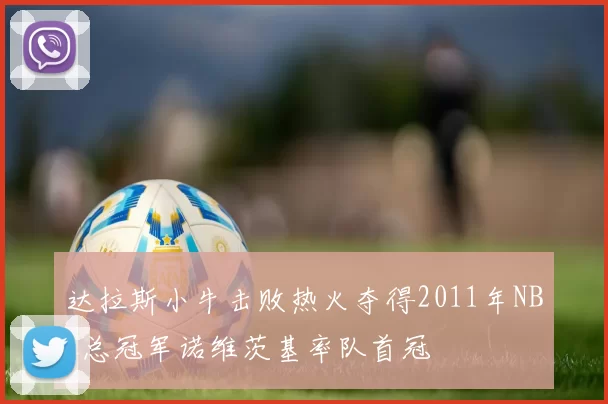 达拉斯小牛击败热火夺得2011年NBA总冠军诺维茨基率队首冠